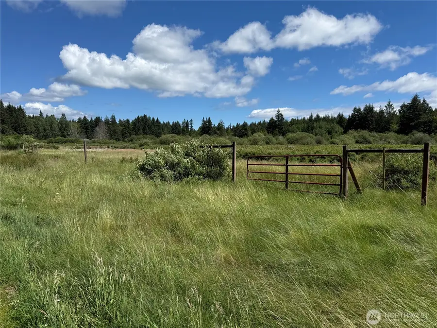 119 184th Avenue Ct Sw, Key Peninsula Anderson Island, WA 98445 - #3