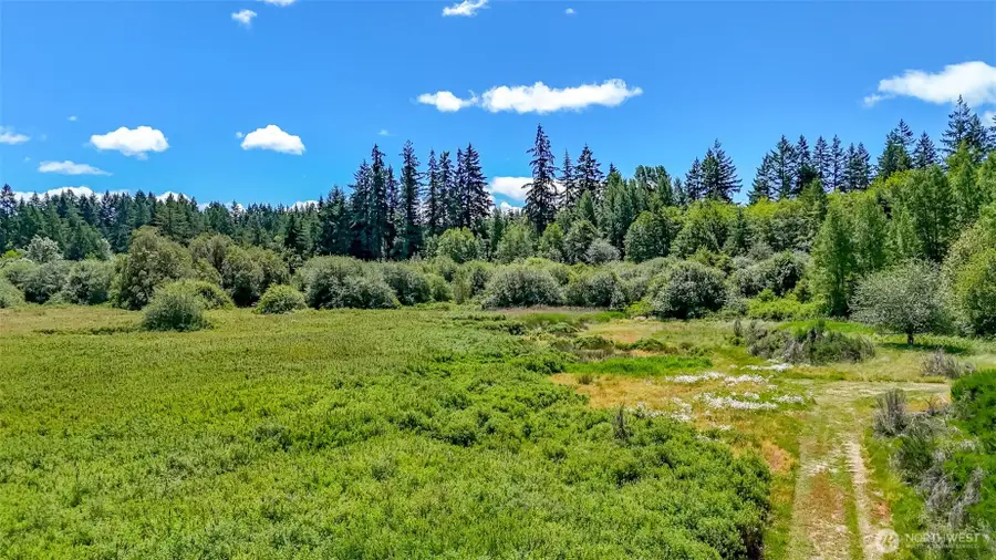 317 184th Avenue Ct Sw, Lakebay, WA 98349 - #2