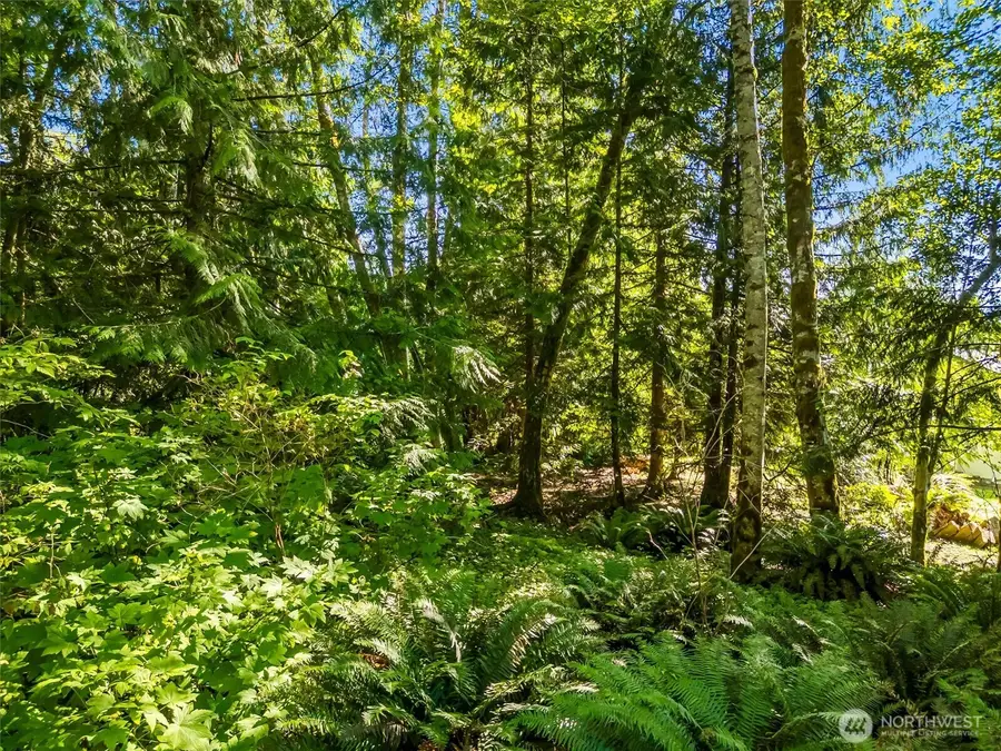 0 Beaver Place #38 & 39, Sedro Woolley, WA 98284 - #2