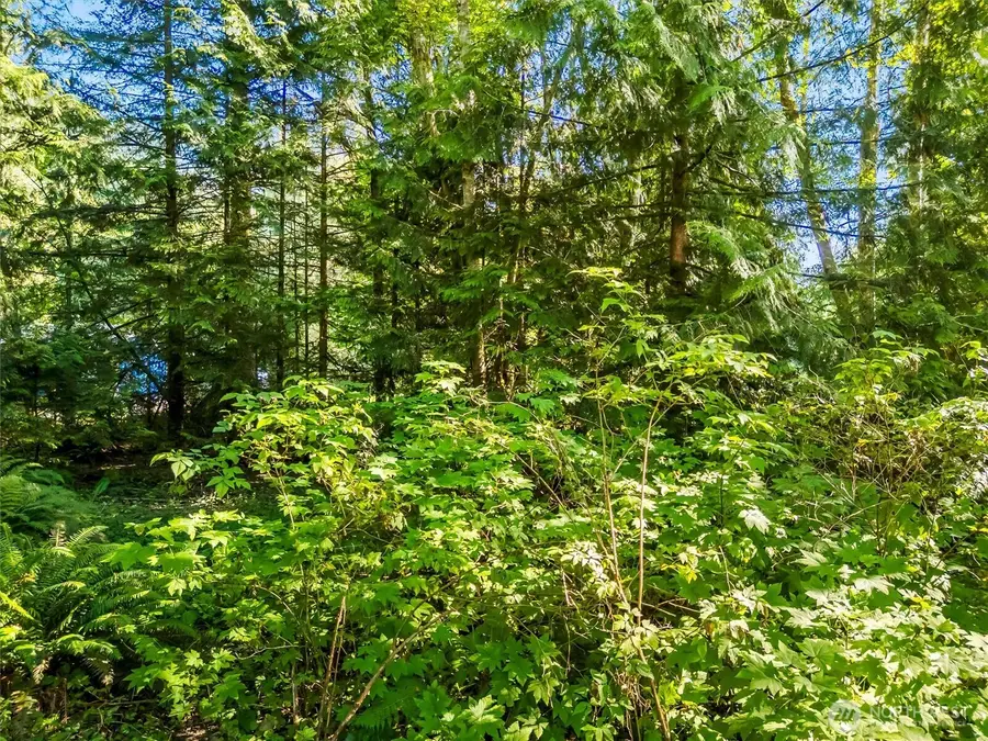 0 Beaver Place #38 & 39, Sedro Woolley, WA 98284 - #3