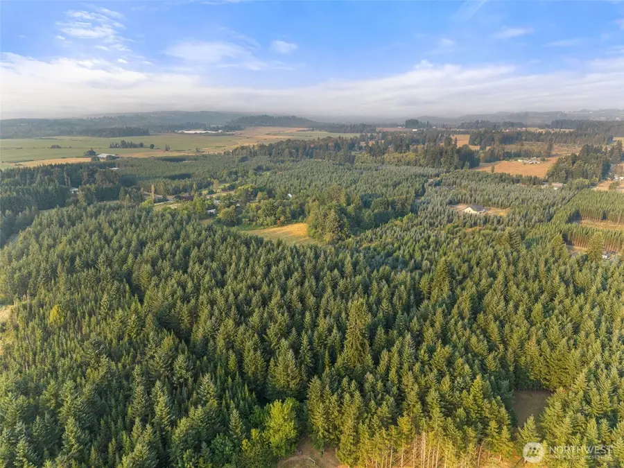 2 Alspach Road, Onalaska, WA 98570 - #2