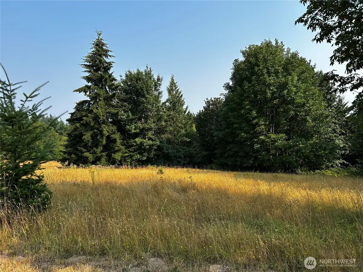 10346 210th Lane Sw, Rochester, WA 98579 - #1