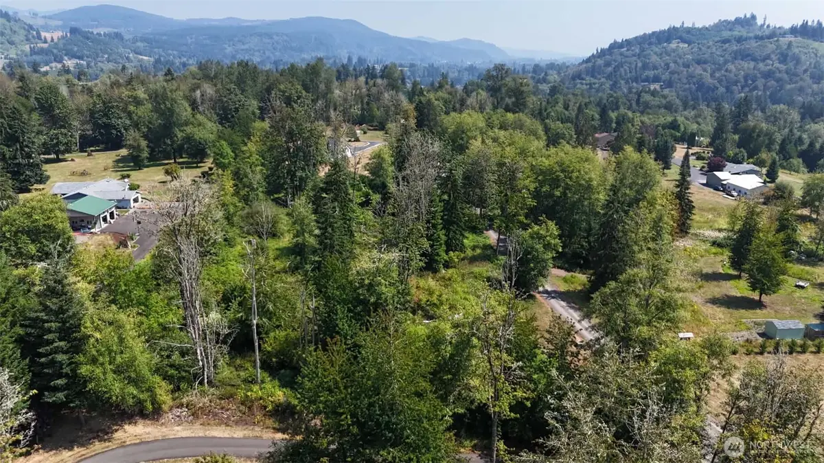 0 Harmony Lane, Mossyrock, WA 98564 - #1