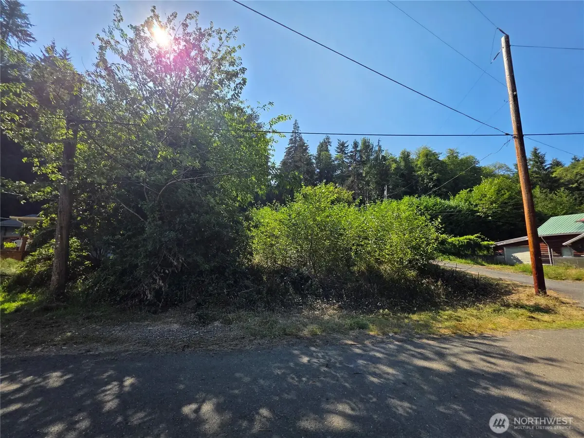 929 Duffy St, Aberdeen, WA 98520 - #1