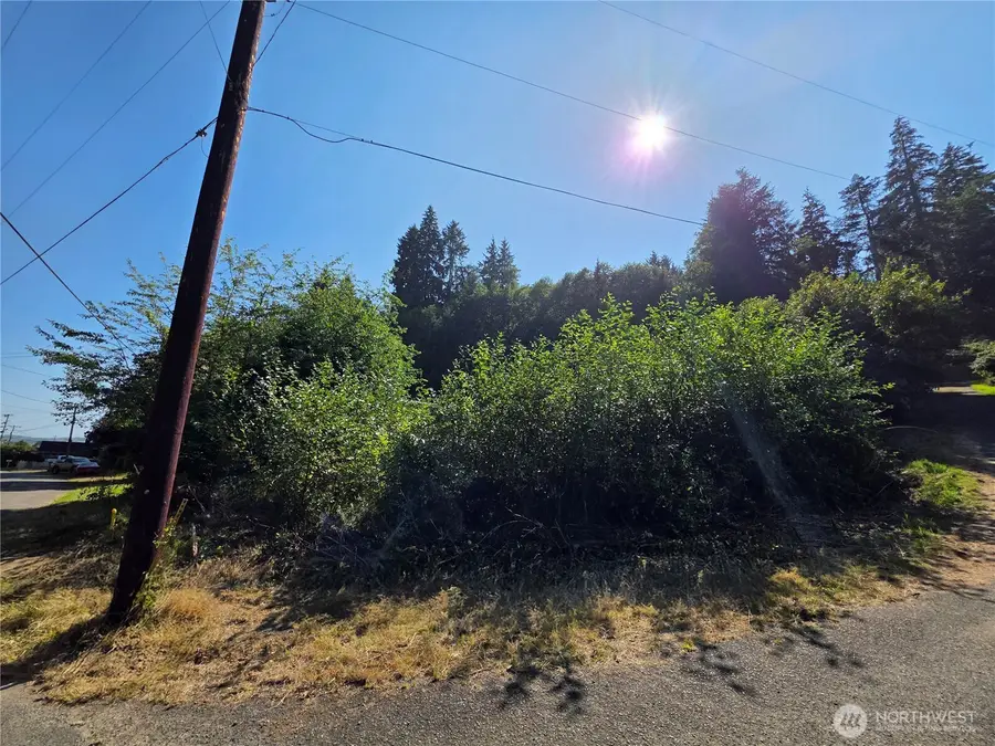 929 Duffy St, Aberdeen, WA 98520 - #3