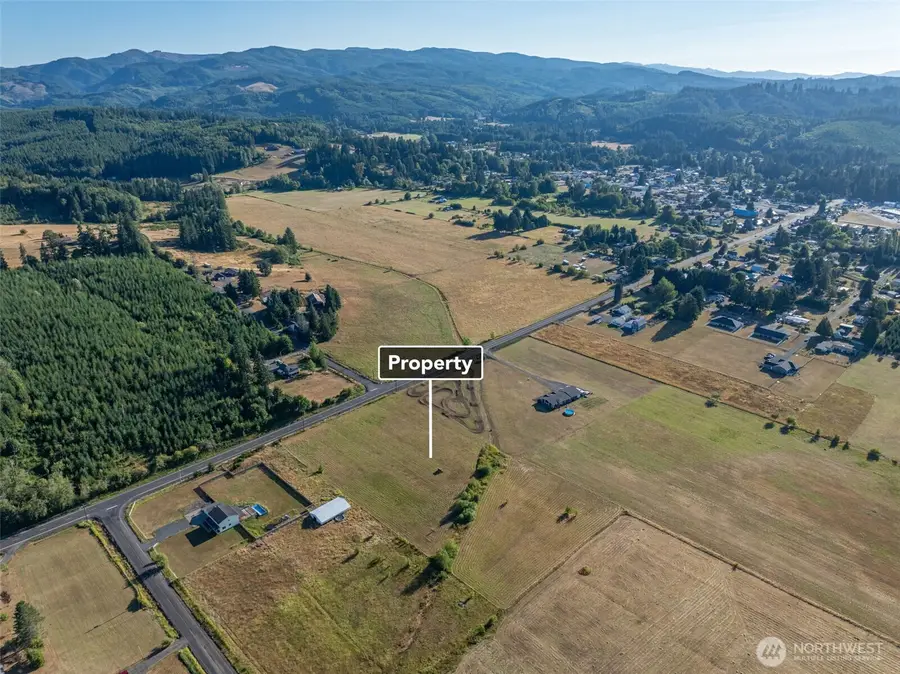 785 Pe Ell Mcdonald Road, Pe Ell, WA 98572 - #3