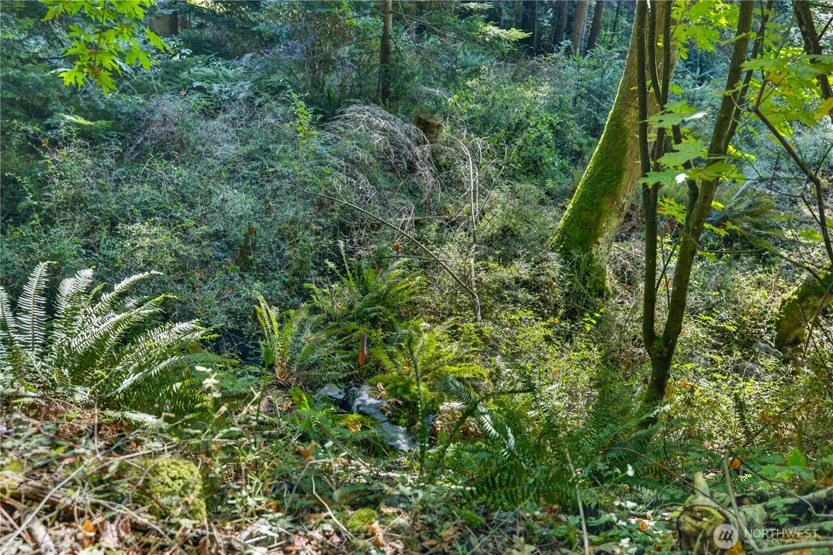 0 Woody Lane W, Anacortes, WA 98221 - #1