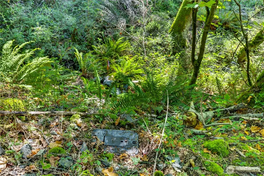 0 Woody Lane W, Anacortes, WA 98221 - #2