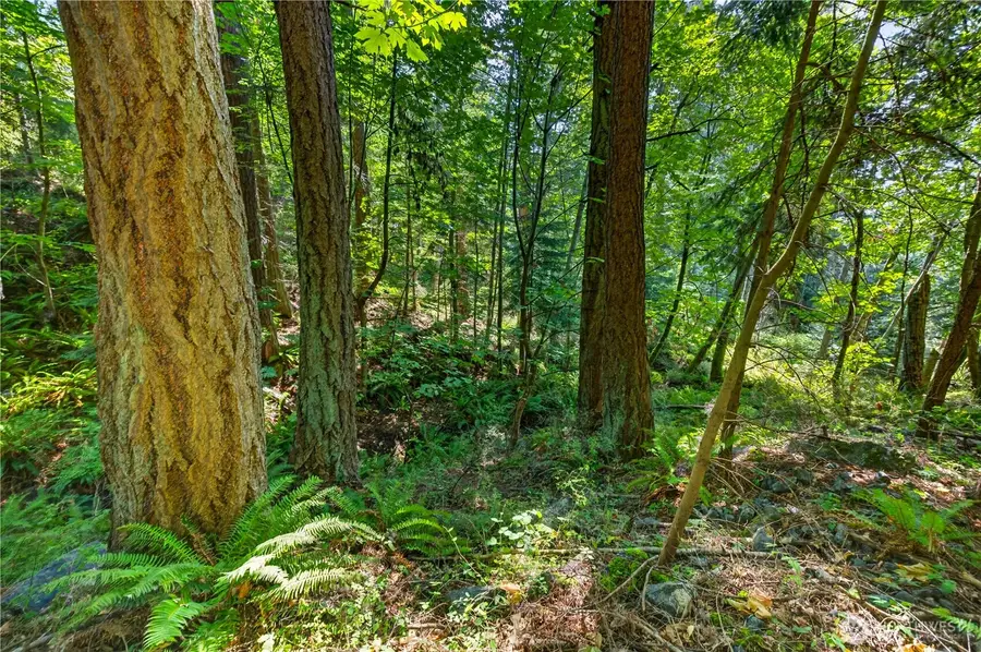 0 Woody Lane W, Anacortes, WA 98221 - #3