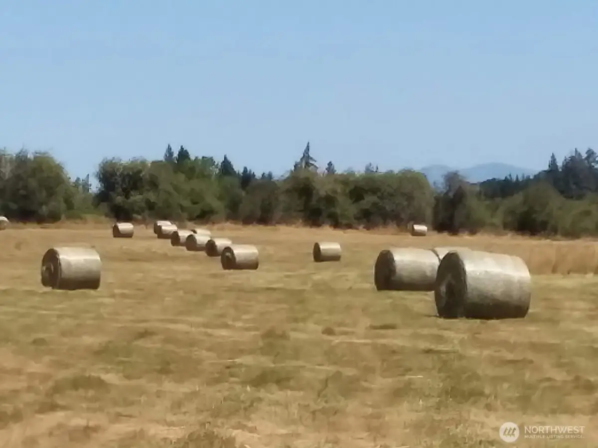 0 Drews Prairie Road, Winlock, WA 98596 - #1