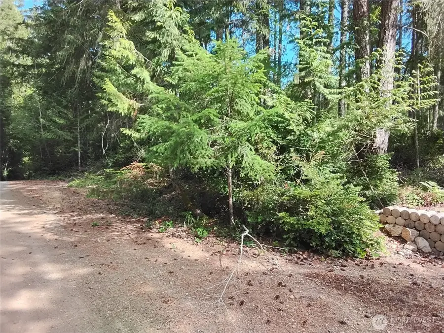 0 E Frontier Road #1, Grapeview, WA 98546 - #2