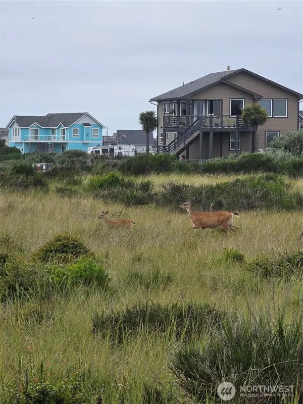 1440 Ocean Crest Avenue Sw #37, Ocean Shores, WA 98569