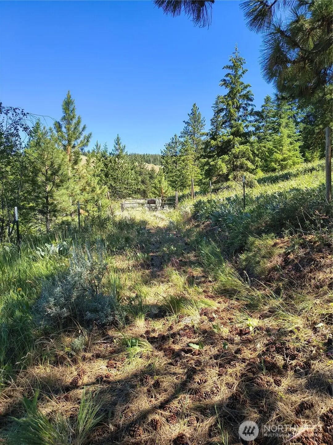 0 Unassigned #4, East Wenatchee, WA 98802 - #1