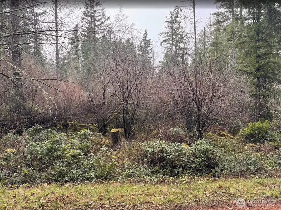10618 Tahoma Drive #9, Anderson Island, WA 98303 - #2