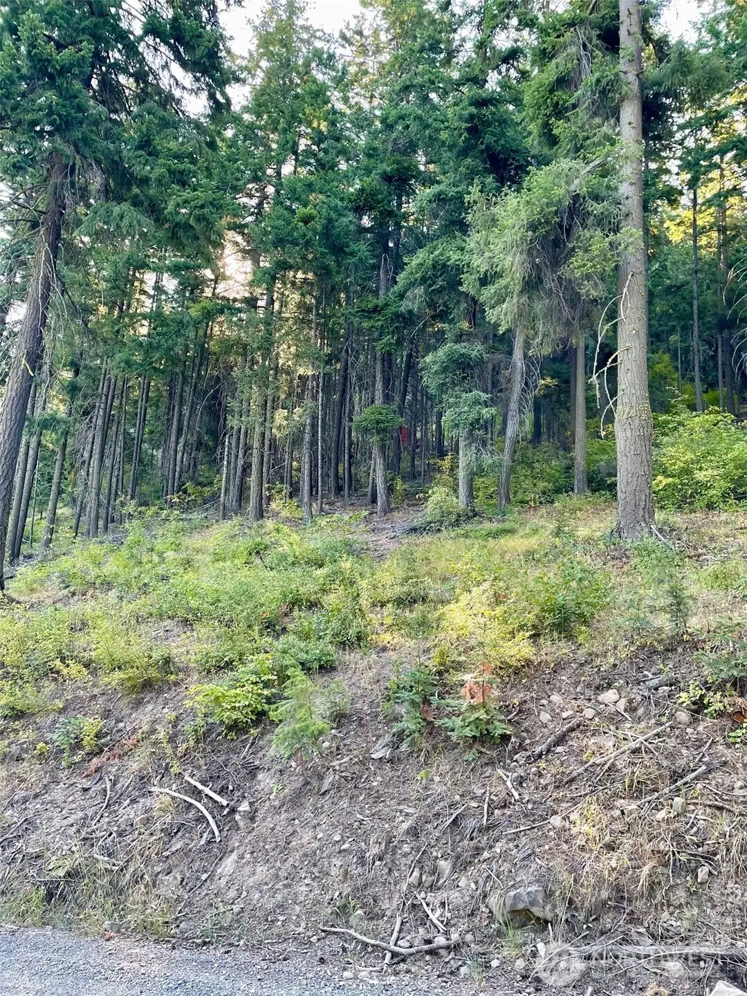 1290 Rodeo Road #41, Cle Elum, WA 98922 - #1