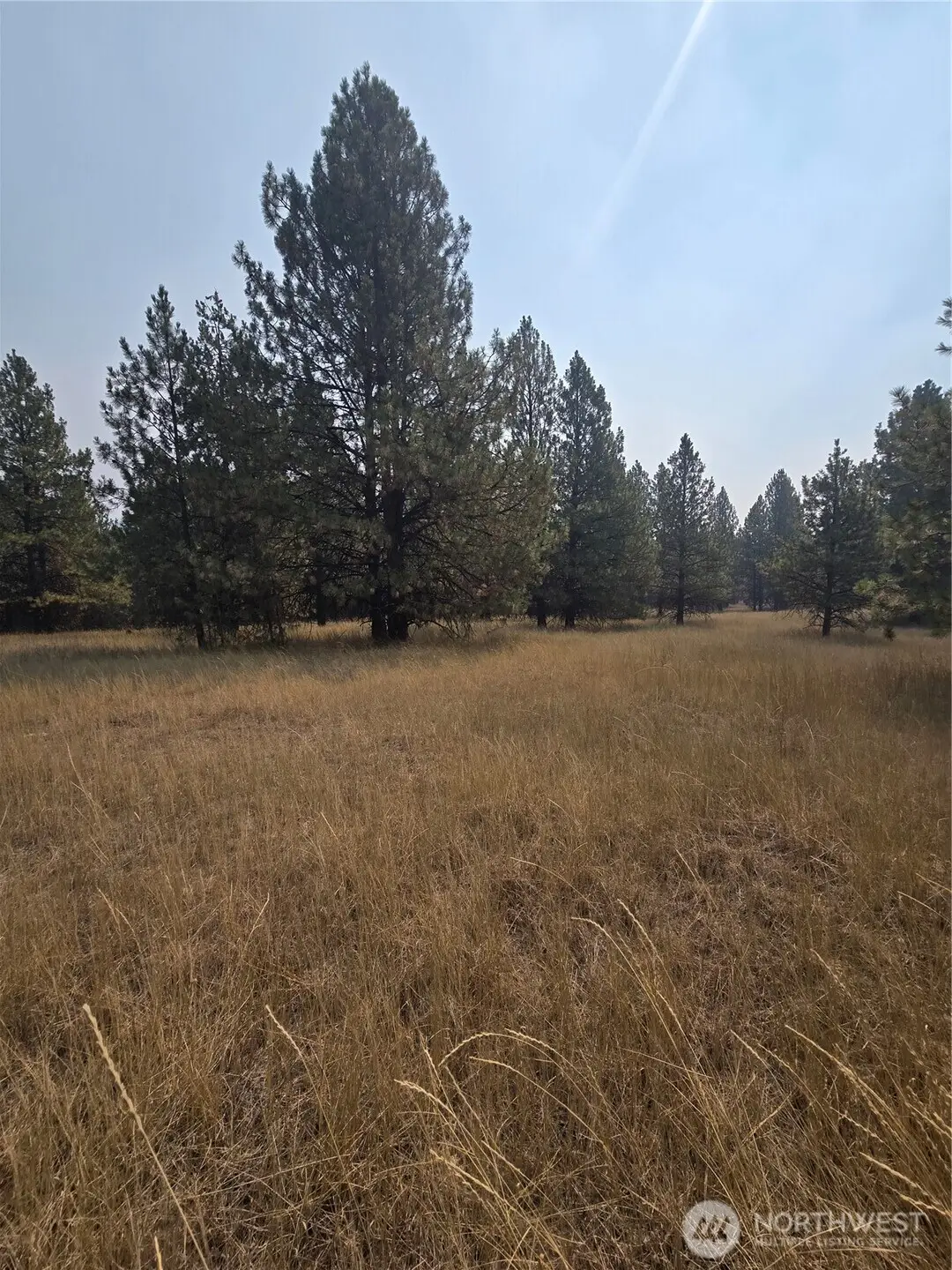 0 Tbd Turner Lake Road, Tonasket, WA 98855 - #1