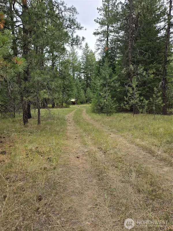 0 Tbd Turner Lake Road, Tonasket, WA 98855