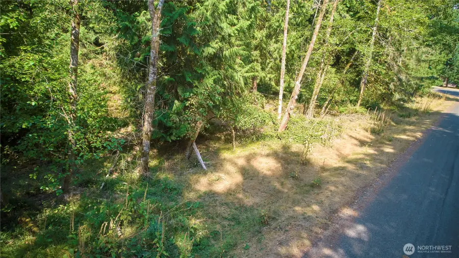 10114 Selma Circle #Lot 96, Anderson Island, WA 98303 - #2