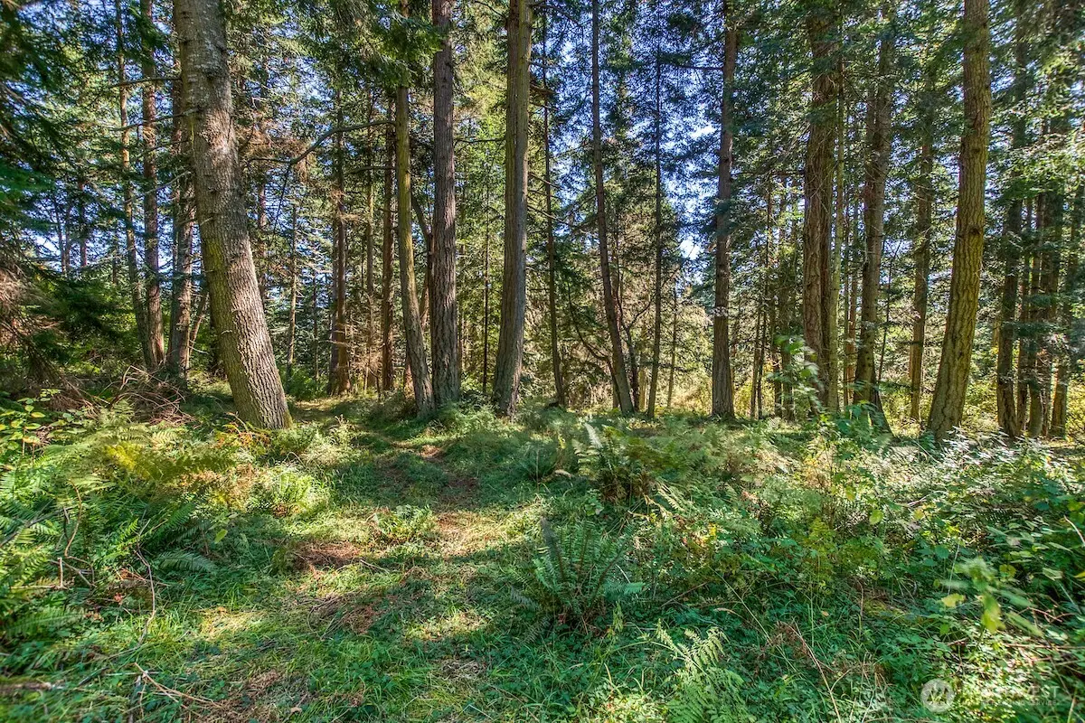 0 Pioneer Hill Road, Olga, WA 98245 - #1