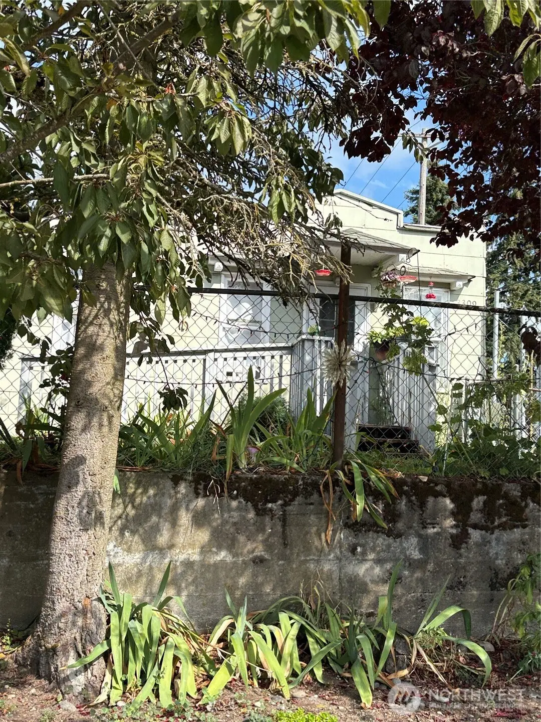 3309 E E Street, Tacoma, WA 98404 - #1