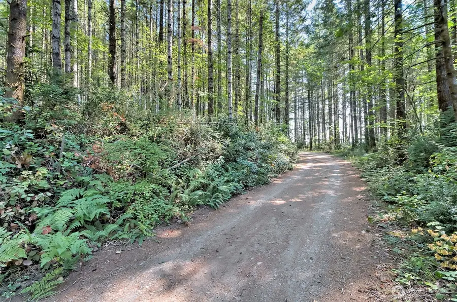 0 Tahuya Valley Drive E #16, Tahuya, WA 98588 - #3