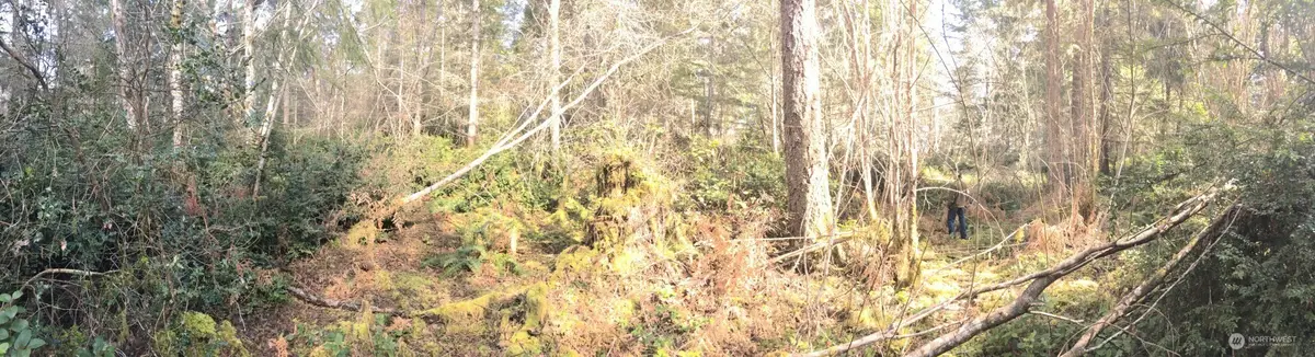 0 160th Avenue Nw, Gig Harbor, WA 98329 - #1