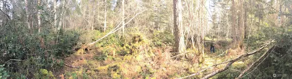 0 160th Avenue Nw, Gig Harbor, WA 98329