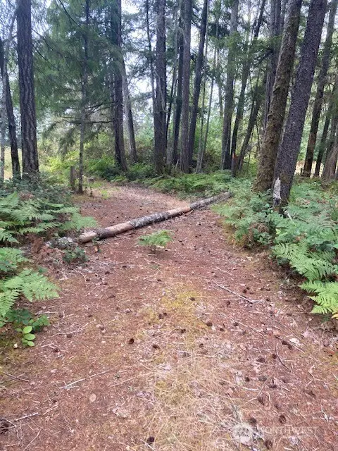 31 N Rainbow Way W #73, Hoodsport, WA 98548 - #1