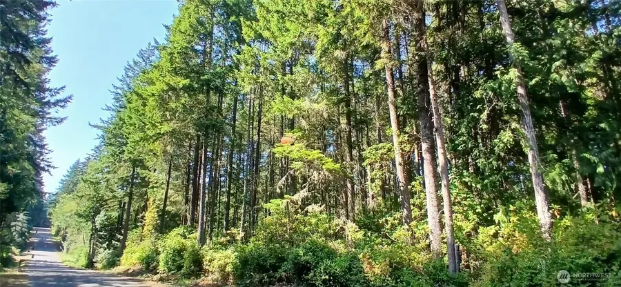 11740 Willamette Meridian Road Nw, Silverdale, WA 98383 - #3