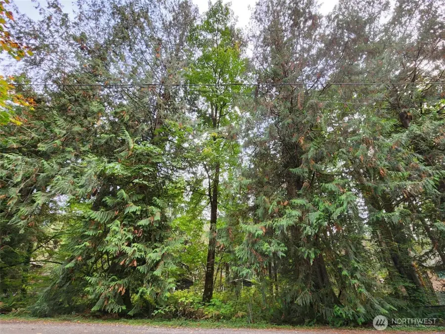 19504 River Place #1, Sultan, WA 98294 - #2