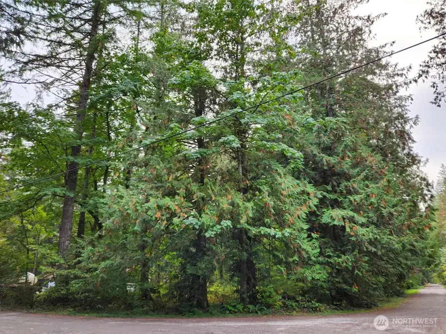 19504 River Place #1, Sultan, WA 98294 - #3