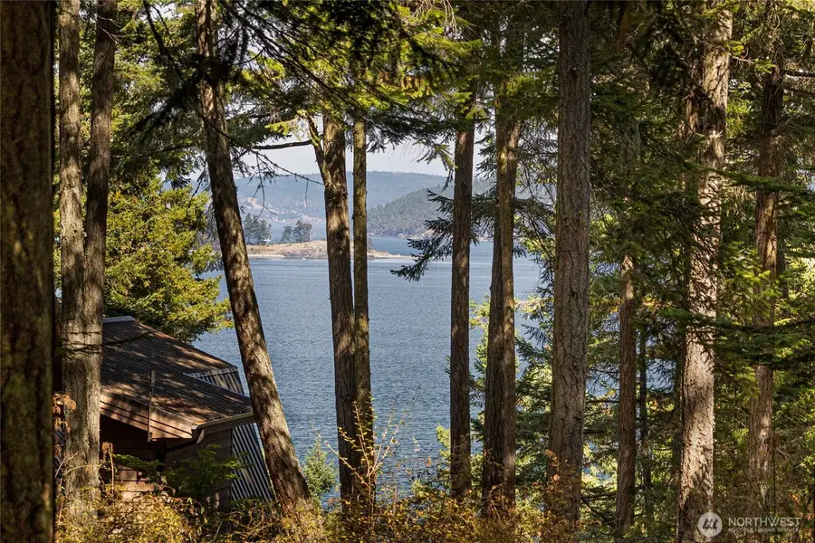 242 Evans Way, Friday Harbor, WA 98250 - #2
