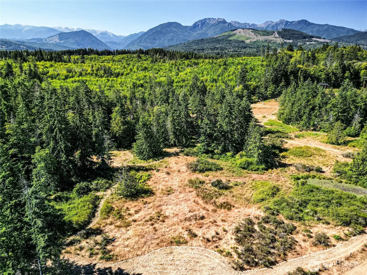 2222 S Bagley Creek Road #PARCEL 2, Port Angeles, WA 98362 - #1