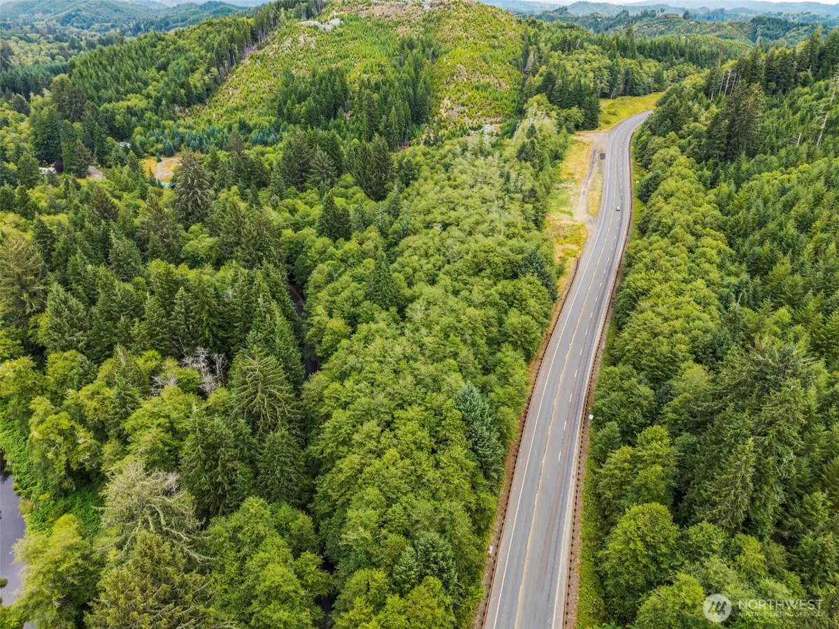80 Salmon Creek Road, Naselle, WA 98626 - #1