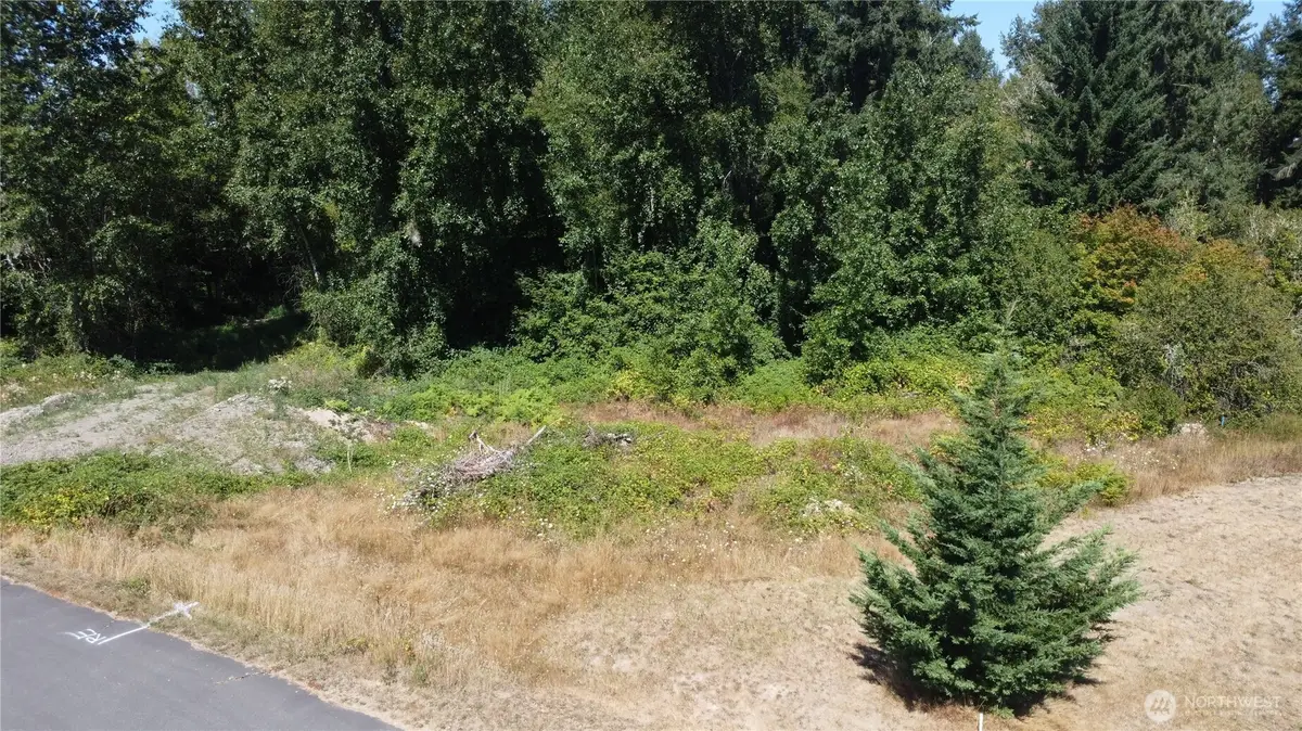 3009 342nd Street Ct S, Roy, WA 98580 - #1