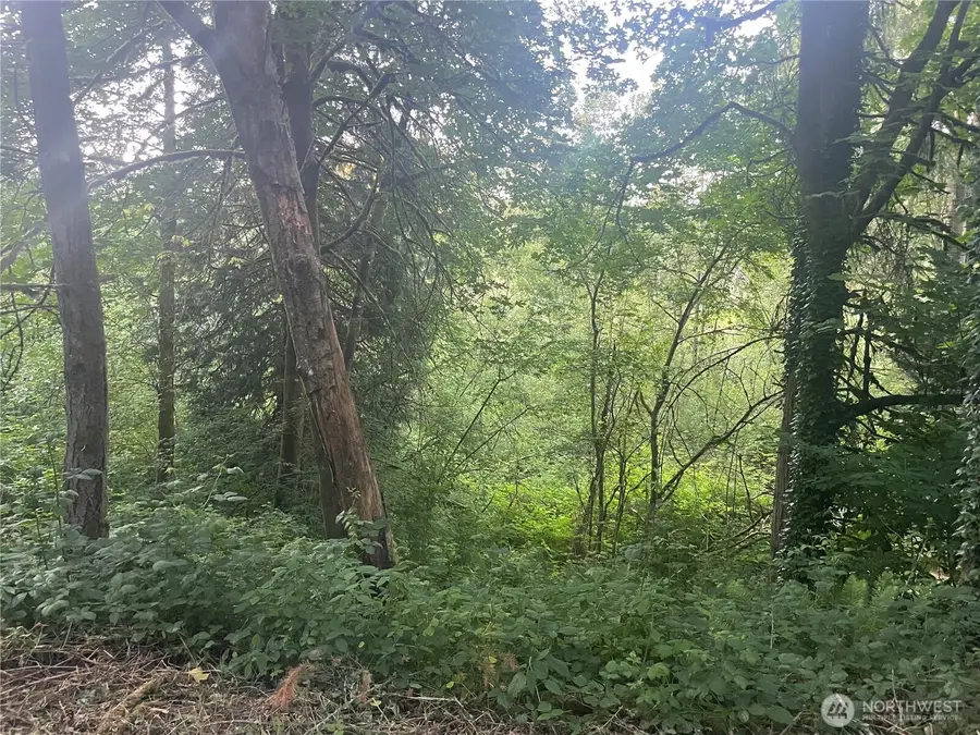 0 NE 179th Street, Woodinville, WA 98072 - #3