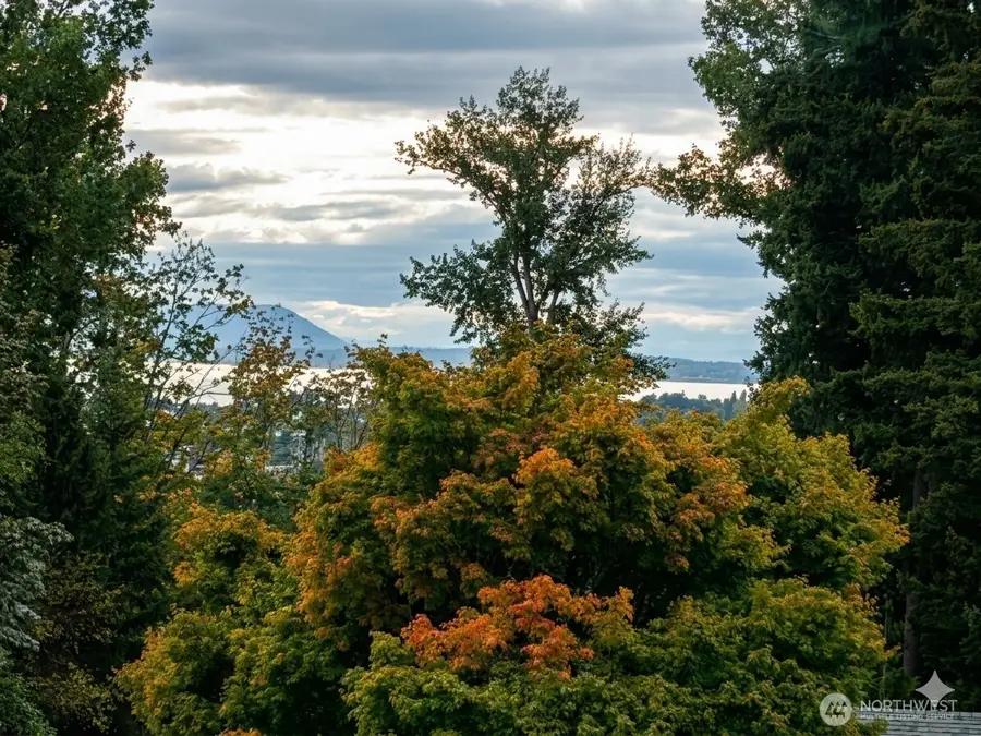 2604 Vining Place, Bellingham, WA 98226 - #3