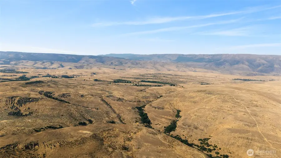 10701 Cowiche Mill Road, Cowiche, WA 98923 - #3