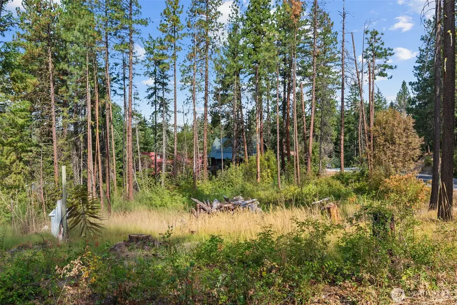 25711 Bridle Lane #11, Leavenworth, WA 98826 - #2