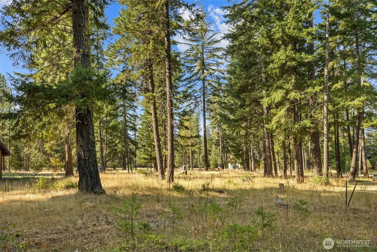 380 Farmhouse Way #25, Cle Elum, WA 98922 - #1