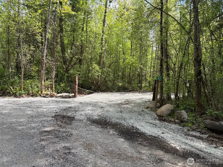 0 42nd Avenue S, Roy, WA 98580 - #3