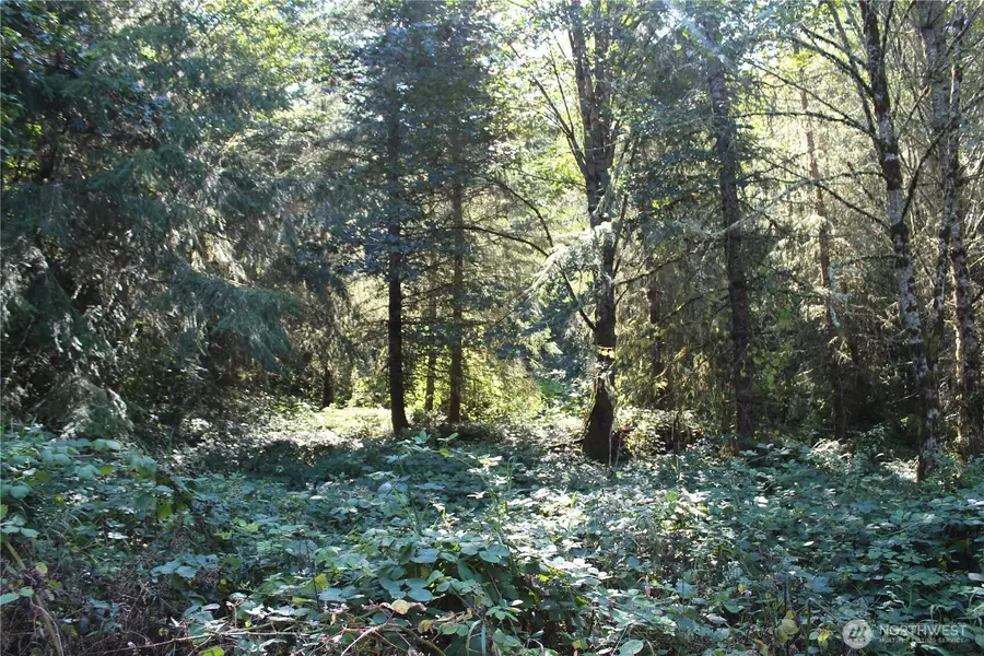 0 N Lot K Bodine Road, Kelso, WA 98626 - #3