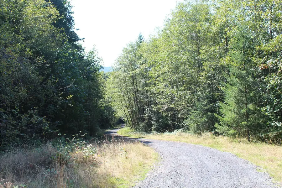 0 N Lot H Bodine Road, Kelso, WA 98626 - #3