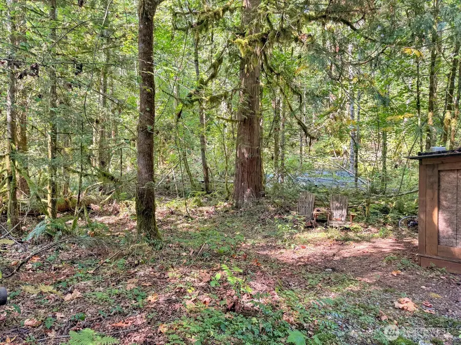 144 Big River Boulevard W, Deming, WA 98244 - #2
