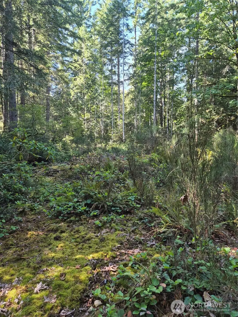 2755 Lost Creek Lane Nw, Bremerton, WA 98312 - #3