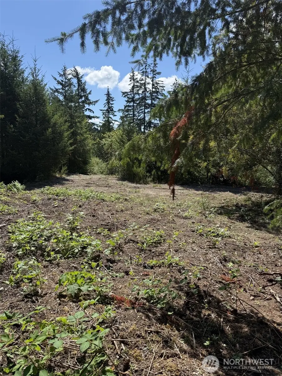 18703 Sr 302 #4, Gig Harbor, WA 98329 - #3