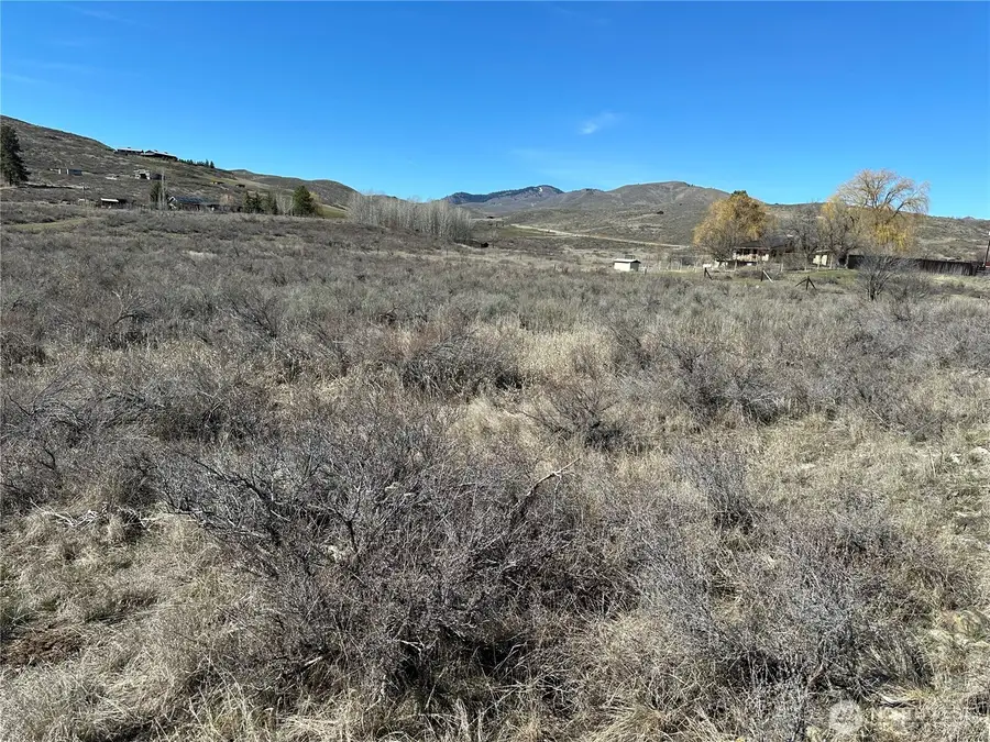 81 W Chewuch Road #1, Winthrop, WA 98862 - #3