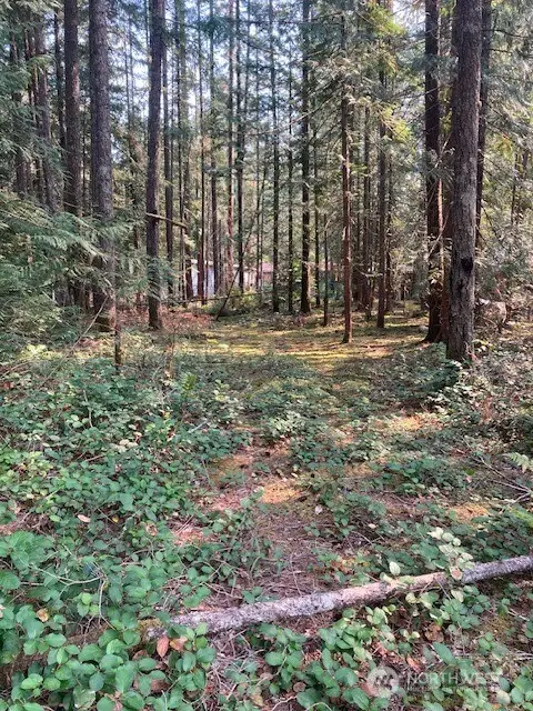 180 N Union Drive #101, Hoodsport, WA 98548