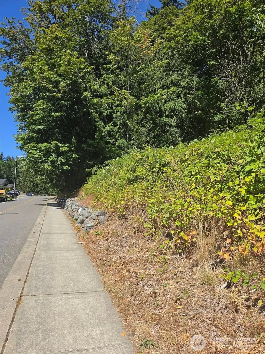 250 Callow Road #2-3-4, Lake Stevens, WA 98258 - #1