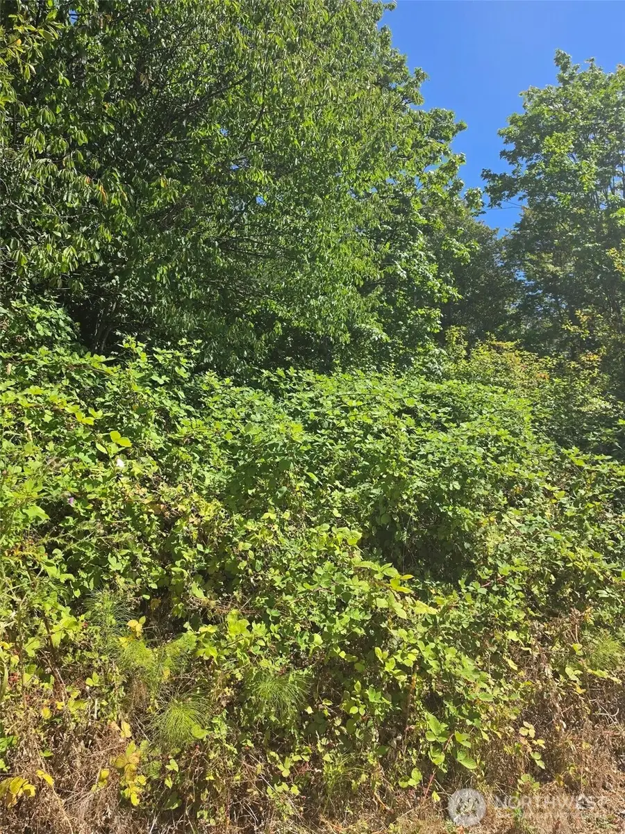 250 Callow Road #2-3-4, Lake Stevens, WA 98258 - #3